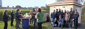 Community Gardens
