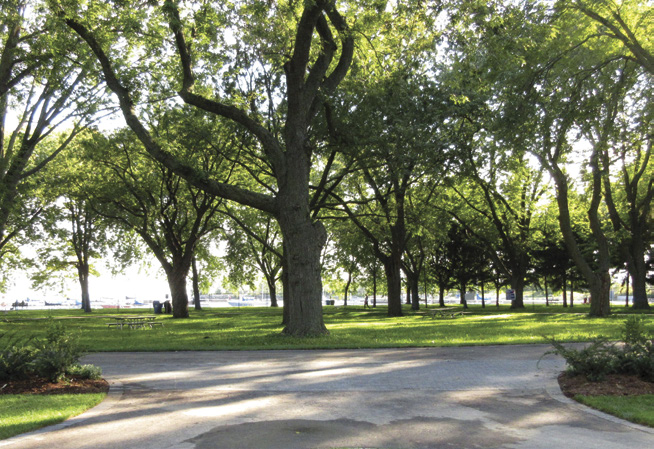 Curving benches at Coronation Park