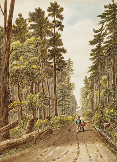 Watercolour of road between Kingston and York