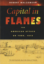 Book cover: Capital in Flames