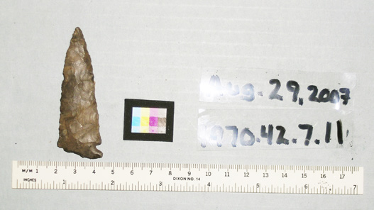 Projectile point with catalogue information