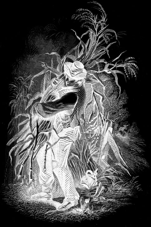 Image from The Proof Was In The Pudding!, p. 3 of December 2006 (Vol 10, No 4).